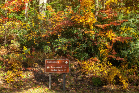 Top 6 Ways to Experience the Great Smoky Mountains in the Fall